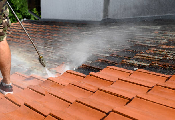 Local Pressure Washing Services in Pine Ridge At Crestwood, NJ